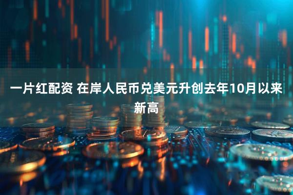 一片红配资 在岸人民币兑美元升创去年10月以来新高