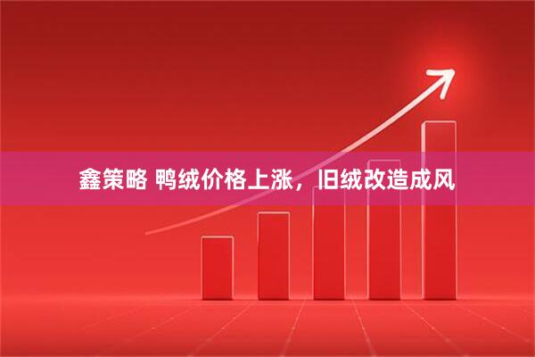 鑫策略 鸭绒价格上涨，旧绒改造成风