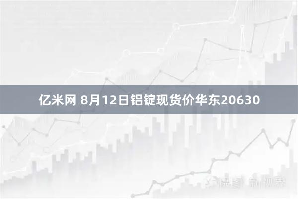 亿米网 8月12日铝锭现货价华东20630